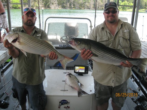 Nice Striped Bass